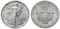 1 dolar 1987, Filadelfia, typ "Liberty", srebro 