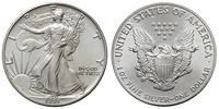 1 dolar 1991, Filadelfia, typ "Liberty", srebro 