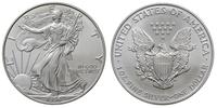 1 dolar 1996, Filadelfia, typ "Liberty", srebro 