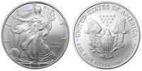 1 dolar 2006, Filadelfia, typ "Liberty", srebro 