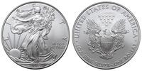 1 dolar 2010, Filadelfia, typ "Liberty", srebro 
