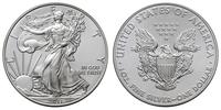 1 dolar 2011, Filadelfia, typ "Liberty", srebro 