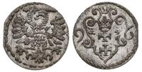denar 1596, Gdańsk, piękny