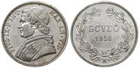 scudo 1853/R, Rzym, ładnie zachowane, delikatna 