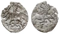 denar litewski 1556, Wilno, srebro 0.24 g, T. 6
