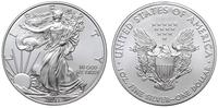 1 dolar 2011, Filadelfia, srebro "999" 31.40 g