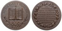 medal 1873, medal poświęcony historykowi Teodoro