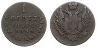 1 grosz polski z miedzi krajowej 1824, Warszawa,