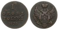 1 grosz polski 1835 / IP, Warszawa, Plage 237