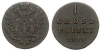 1 grosz polski 1817 / I.B., Warszawa, Plage 201,