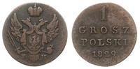 1 grosz polski 1829 / F.H., Warszawa, Plage 222