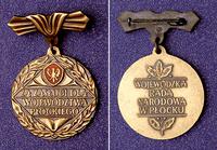 Brązowa Odznaka Za Zasługi Dla Województwa Płock