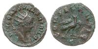 antoninian 258-260, Rzym, Aw: Popiersie cesarza 