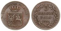 3 grosze 1831, Warszawa, Plage 282, Iger PL.31.1