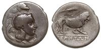nomos 300-280 pne, Aw: Atena w hełmie zdobionym 