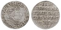 trojak 1537, Gdańsk, Iger G.37.2.a (R1)