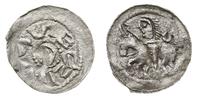 denar, denar książęcy 1070-1076, Aw: Głowa w lew