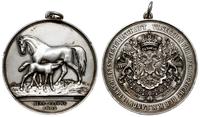 medal 1882, medal z okazji VI wystawy hodowli ko