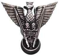 Odznaka pamiątkowa Samodzielnej Brygady Strzelcó