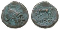 brąz AE-22 120-80 pne, Aw: Głowa Perseusza w cza