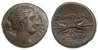 brąz AE-21 317-289 pne, Aw: Głowa Artemidy w pra