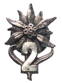 Odznaka pamiątkowa 2 batalionu Strzelców - P S Z