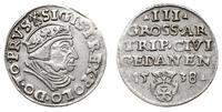 trojak 1538, Gdańsk, korona królewska z krzyżyki