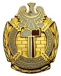 Złota Odznaka Zasłużonemu w Rozwoju Województwa 