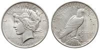1 dolar 1923, Filadelfia, typ ''Peace''