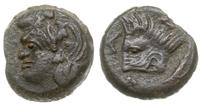 brąz 310-303 pne, Aw: Głowa satyra w lewo, Rw: G