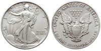 1 dolar 1991, Filadelfia, typ "Liberty", 1 uncja