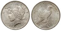 1 dolar 1923, Filadelfia, typ ''Peace'', patyna