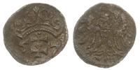 denar 1557, Gdańsk, patyna, rzadki, Tyszkiewicz 