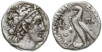 tetradrachma 105-104 pne, Aleksandria, Aw: Głowa