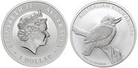dolar 2010, Perth, australijski ptak kookaburra,