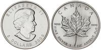 5 dolarów 2008, Maple Leaf, 1 uncja czystego sre