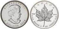 5 dolarów 2009, Maple Leaf, 1 uncja czystego sre