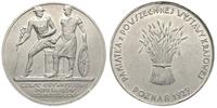 medal 1929, Powszechna Wystawa Krajowa w Poznani