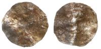 denar Ottona III lub Henryka II XI w., Aw: Głowa