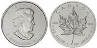 5 dolarów 2013, srebro ''9999'' 31.41 g