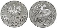 20 złotych 1995, Warszawa, Sum, srebro ''925'' 3