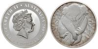 1 dolar 2007, Miś Koala, srebro "999" 31.53 g