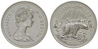 dolar 1980, Niedźwiedź Polarny, srebro "500", wy