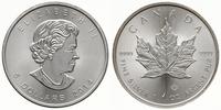 5 dolarów 2014, liść klonowy, srebro 31.15 g