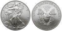 1 dolar 2008, srebro 31.26 g