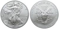 1 dolar 2013, Filadelfia, Walking Liberty, srebr