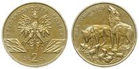 2 złote 1999, Warszawa, Wilki - Canis lupus, Nor