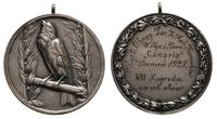 Medal 1927, Medal nagrodowy za zajęcie VII miejs