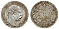 1 korona 1915/KB, Kremnica, piękna, KM. 492