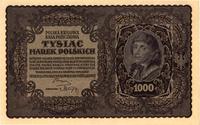 1.000 marek polskich 23.08.1919, i serja DG, Mił